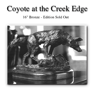 coyote_creek